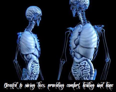 Printable- Devoted to saving lives, providing comfort, healing and hope  [PDF]