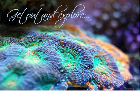 Printable- Get Out And Explore 10 [Post Card/ PDF]