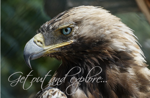 Printable- Get Out And Explore 13 [Post Card/ PDF]