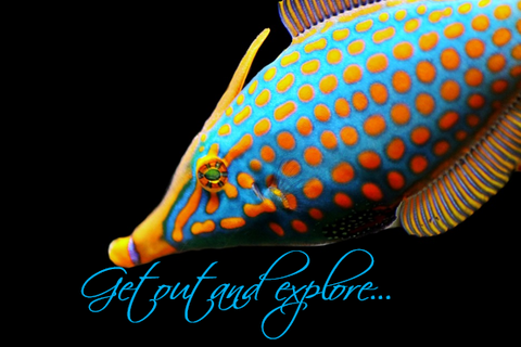 Printable- Get Out And Explore 14 [Post Card/ PDF]