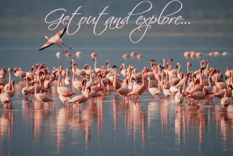 Printable- Get Out And Explore 18 [Post Card/ PDF]