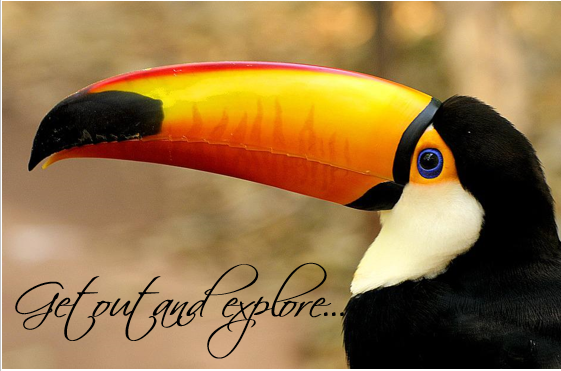 Printable- Get Out And Explore 27 [Post Card/ PDF]