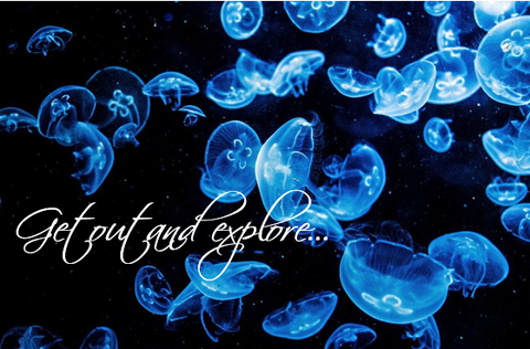 Printable- Get Out And Explore 3 [Post Card/ PDF]