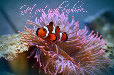 Printable- Get Out And Explore 4 [Post Card/ PDF]