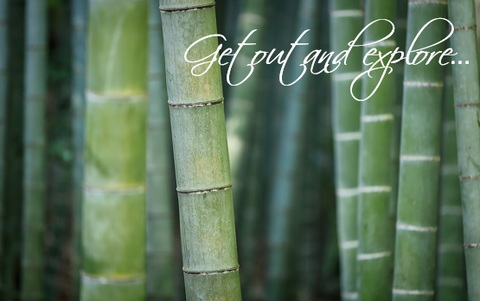 Printable- Get Out And Explore 6 [Post Card/ PDF]