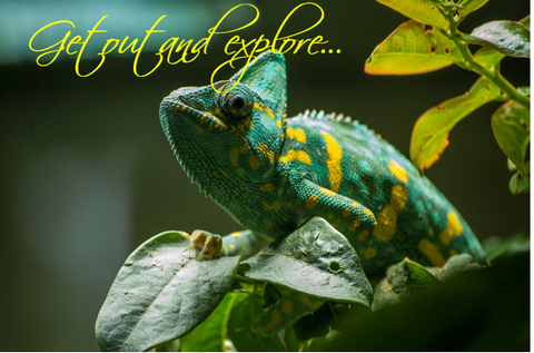 Printable- Get Out And Explore 9 [Post Card/ PDF]