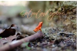 Printable- Get Out And Explore [Post Card/ PDF]