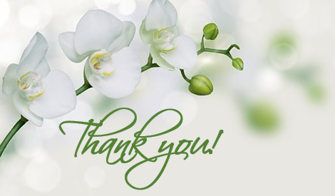Printable- Postcards Thank You Green Flower [Post Card/PDF]