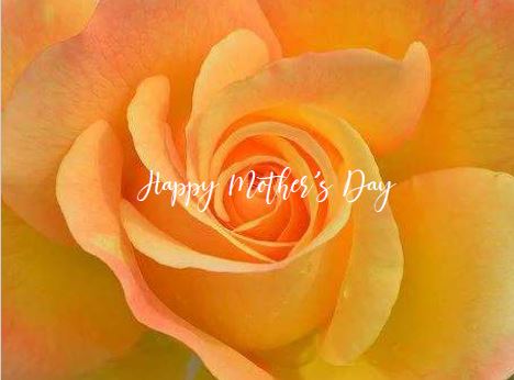 Printable- Mother's Day 1 [PDF]