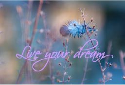 Printable- Live Your Dreams 5 [Post Card/ PDF]