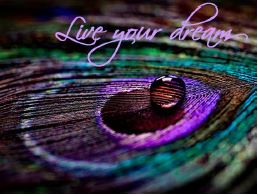 Printable- Live Your Dreams 6 [Post Card/ PDF]