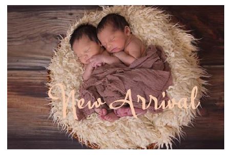 Printable-New Arrival Boy Twins [Post Card Size /PDF]
