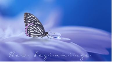 Printable-New Beginnings Butterfly [Post Card/ PDF]