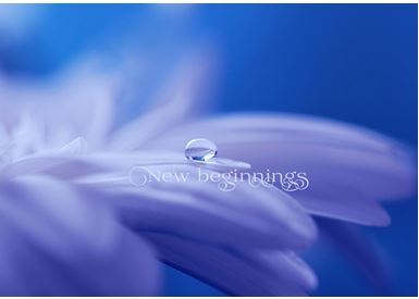 Printable-New Beginnings Petals [Post Card/ PDF]