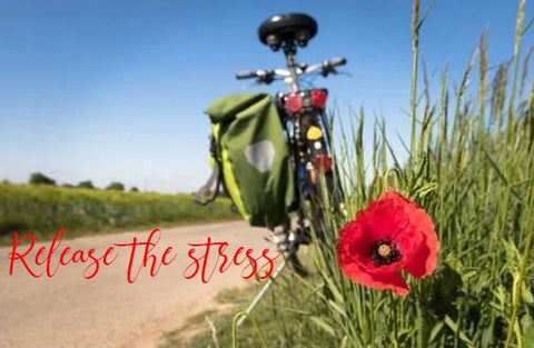 Printable- Release The Stress 21 [PDF]