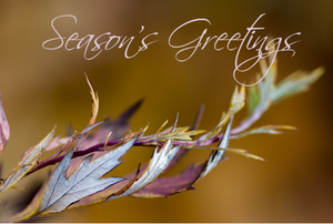 Printable- Seasons Greetings 13  [Post Card/ PDF]