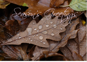 Printable- Seasons Greetings 14  [Post Card/ PDF]
