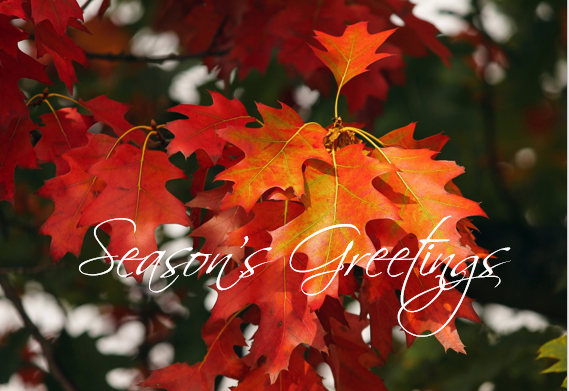 Printable- Seasons Greetings 17  [Post Card/ PDF]