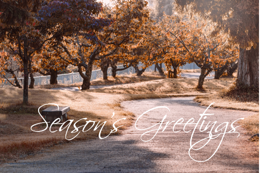 Printable- Seasons Greetings 18  [Post Card/ PDF]