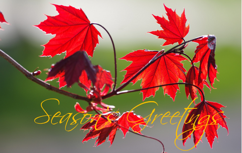 Printable- Seasons Greetings 19  [Post Card/ PDF]