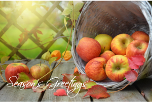 Printable- Seasons Greetings 1  [Post Card/ PDF]