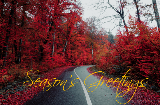 Printable- Seasons Greetings 20 [Post Card/ PDF]