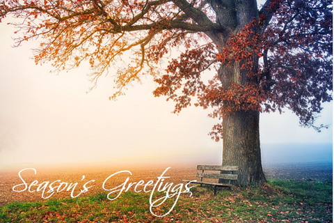Printable- Seasons Greetings 24  [Post Card/ PDF]