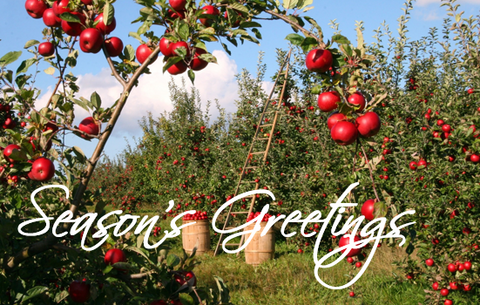 Printable- Seasons Greetings 2  [Post Card/ PDF]
