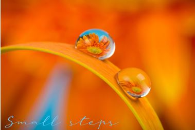 Printable-Small Steps Orange [Post Card/ PDF]