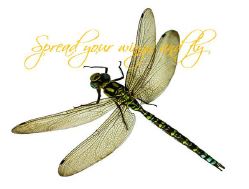 Printable- DragonFly 14  [Post Card/ PDF]