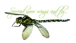 Printable- DragonFly 16  [Post Card/ PDF]