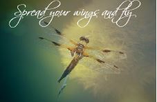 Printable- DragonFly 21  [Post Card/ PDF]