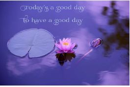 Printable-Today Is A Good Day To Have A Good Day Pond [Post Card/ PDF]
